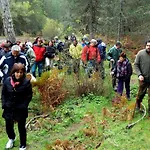 Dimosthenis Karastamatis Gæstehus Xorychti
