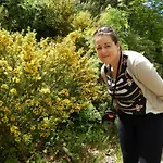 Dimosthenis Karastamatis 3* Xorychti