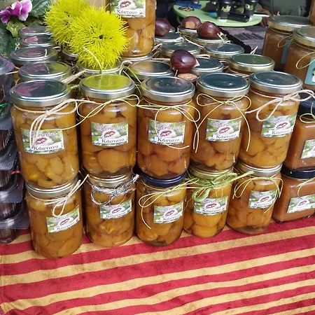 Pensión Dimosthenis Karastamatis Xorychti