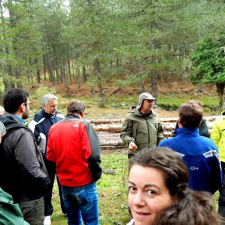 Dimosthenis Karastamatis Pensión