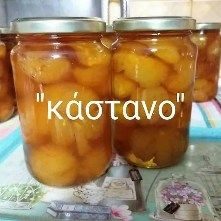 Pensión Dimosthenis Karastamatis Xorychti