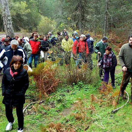 Dimosthenis Karastamatis Gæstehus Xorychti