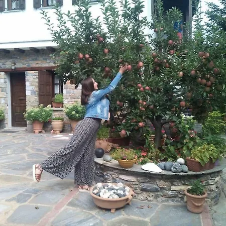 Dimosthenis Karastamatis 3* Xorychti