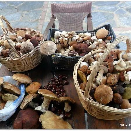 Dimosthenis Karastamatis Xorychti