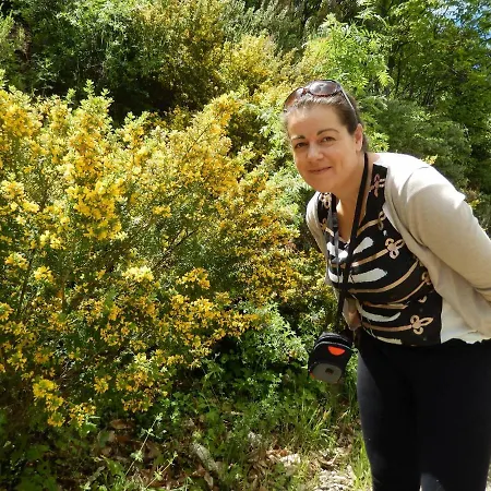 Dimosthenis Karastamatis 3* Xorychti