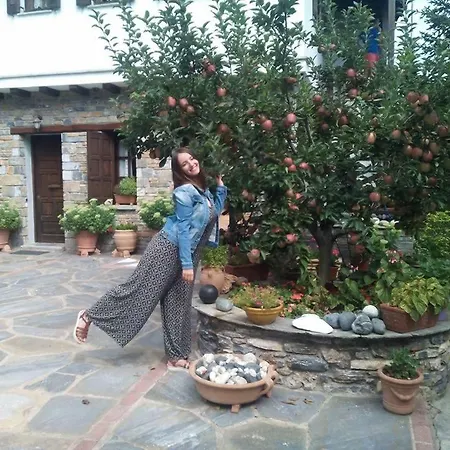 Dimosthenis Karastamatis Guest house Xorychti